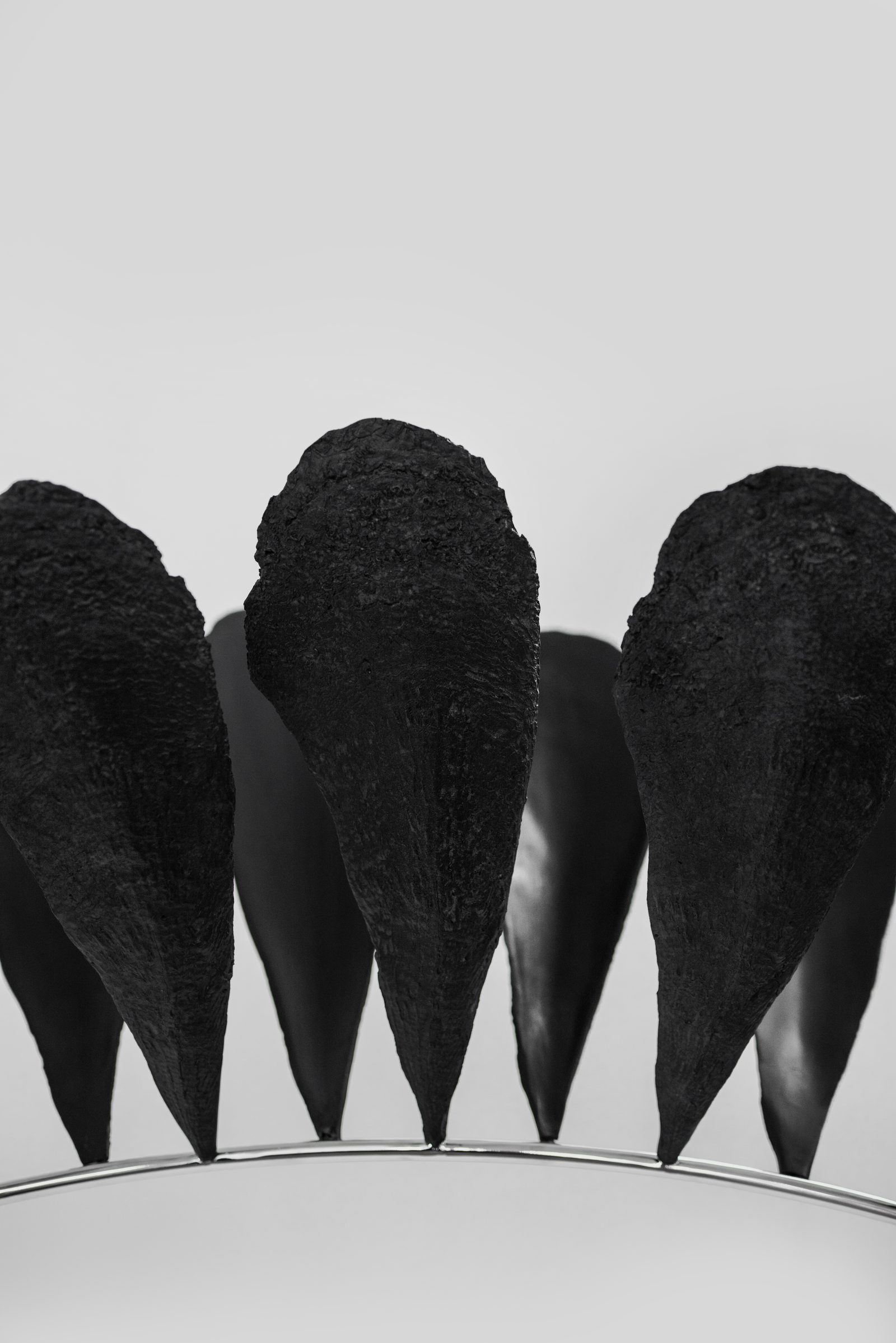 Endosimbionti, 2025 — ph. Rafael Jacinto