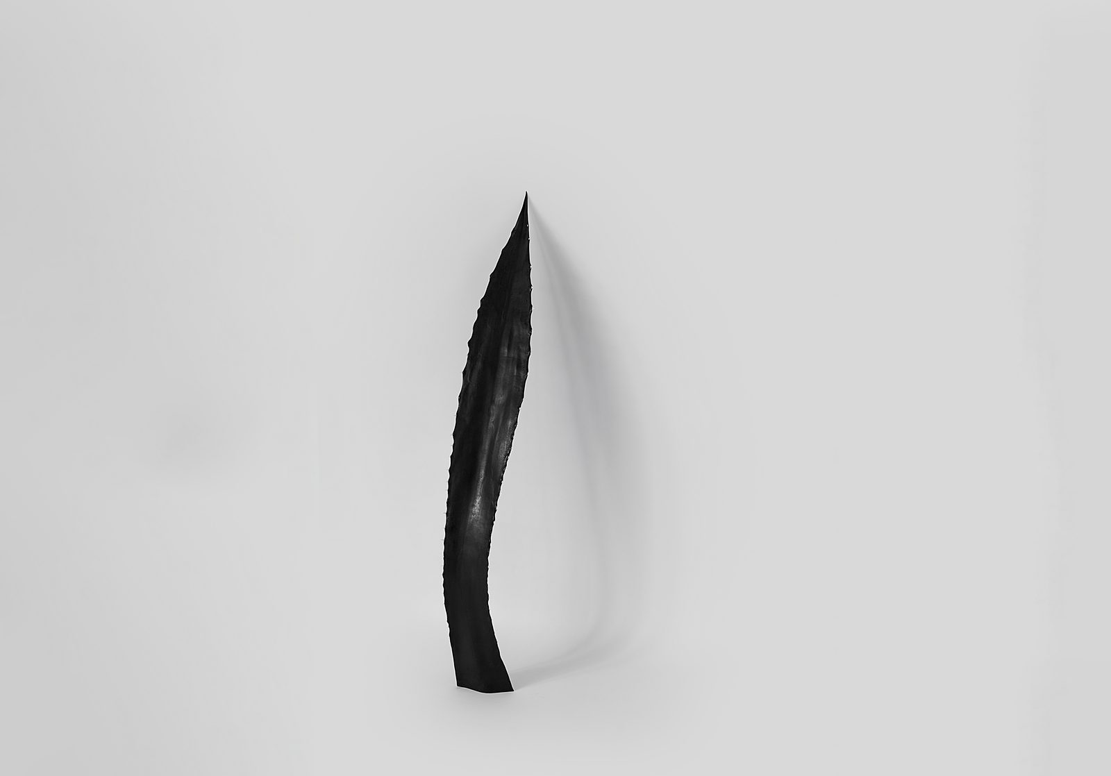 Endosimbionti, 2025 — ph. Rafael Jacinto