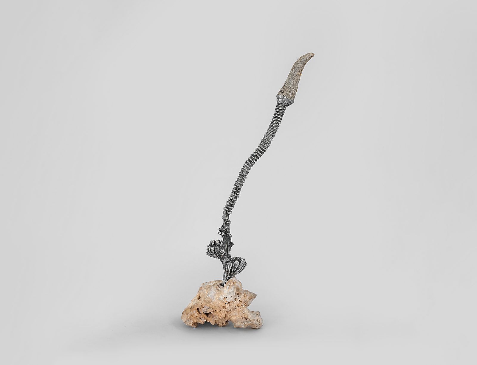 Endosimbionti, installation view, black-patinated bronze and mixed media, 2025 — ph. Rafael Jacinto
