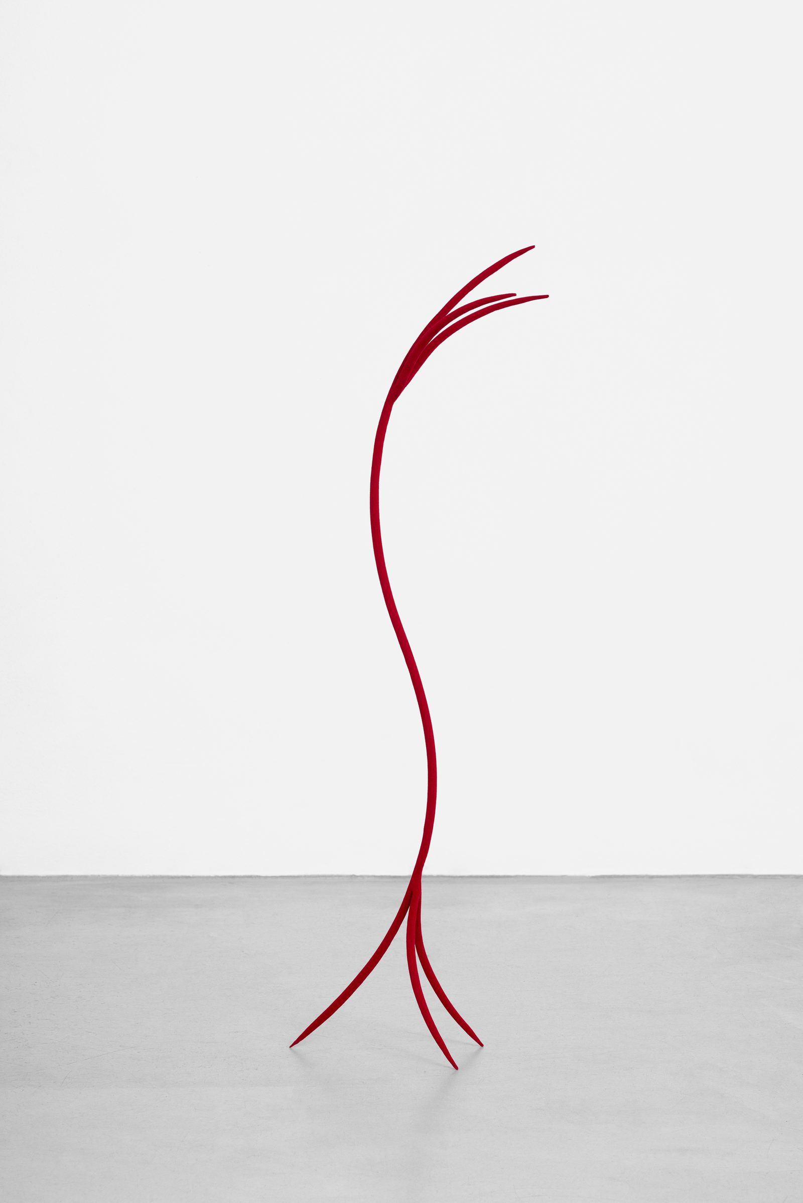 Symbiotic Relationships, detail, in Incontri Sensibili, Villa Contemporanea, Monza, 2021 — ph. Rui Wu