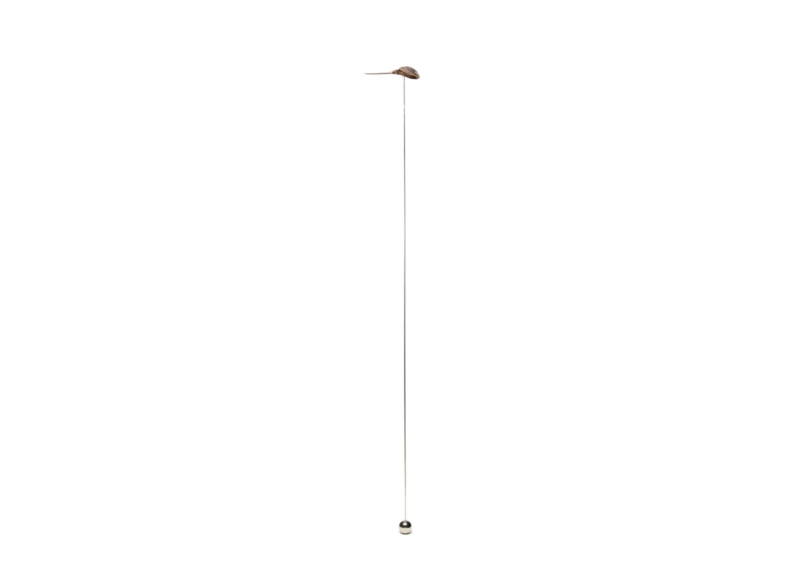 LPS, installation view, harmonic steel and taxidermic material, 200×10×20 cm, 2014 — ph. Mattia Pastore