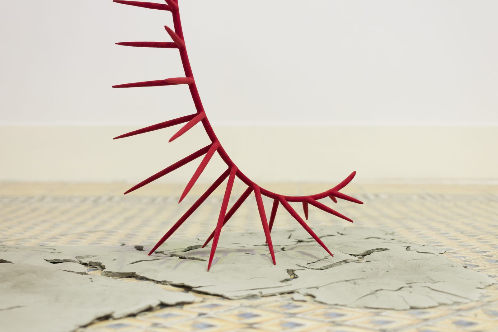 Nature is our gardener. Relazioni simbiotiche, detail, 2019, Galleria Marrocco, Naples — ph. Sara Davide