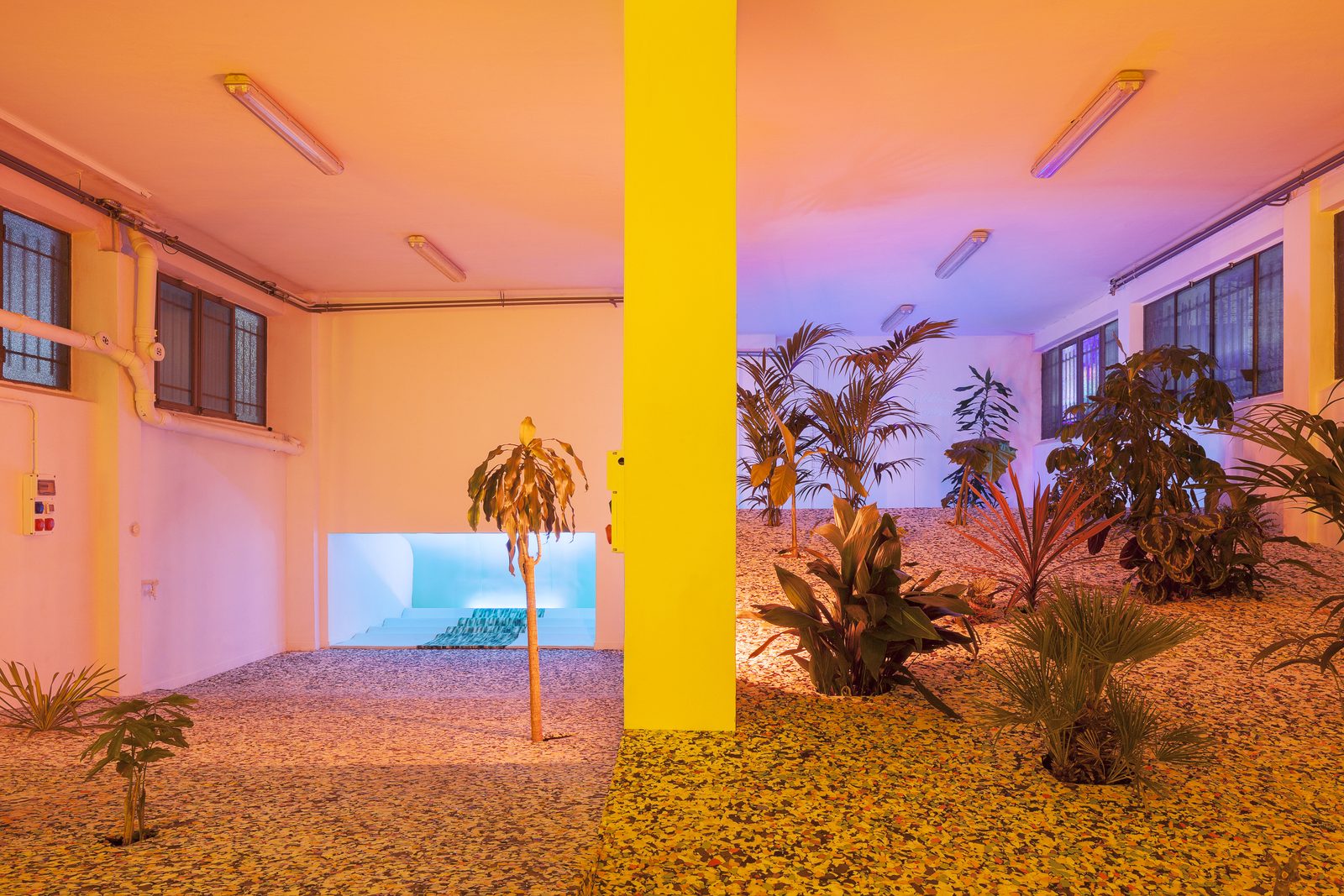 Plllla Plllla (maybe plants platform), installation view, viale Enrico Forlanini 54, Milan, 2017 — courtesy ATZ
