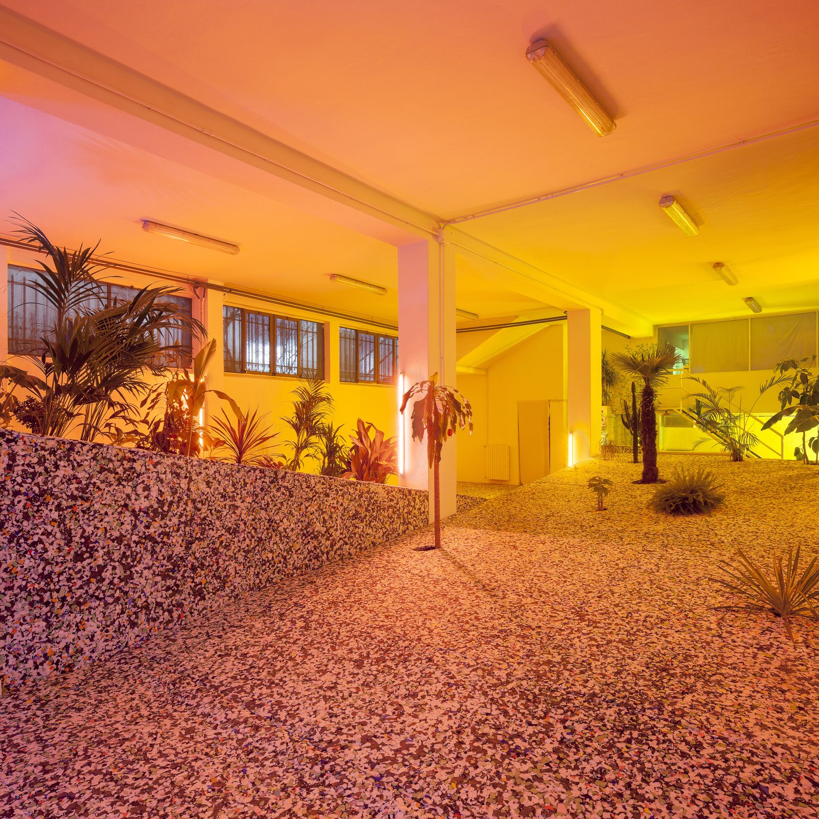Plllla Plllla (maybe plants platform), installation view, viale Enrico Forlanini 54, Milan, 2017 — courtesy ATZ