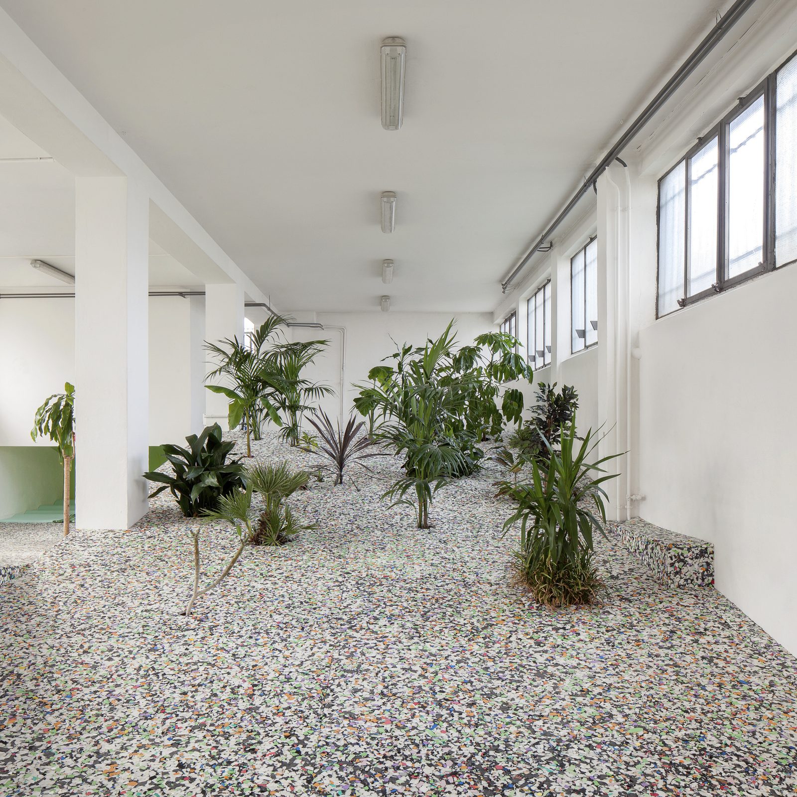 Plllla Plllla (maybe plants platform), installation view, viale Enrico Forlanini 54, Milan, 2017 — courtesy ATZ