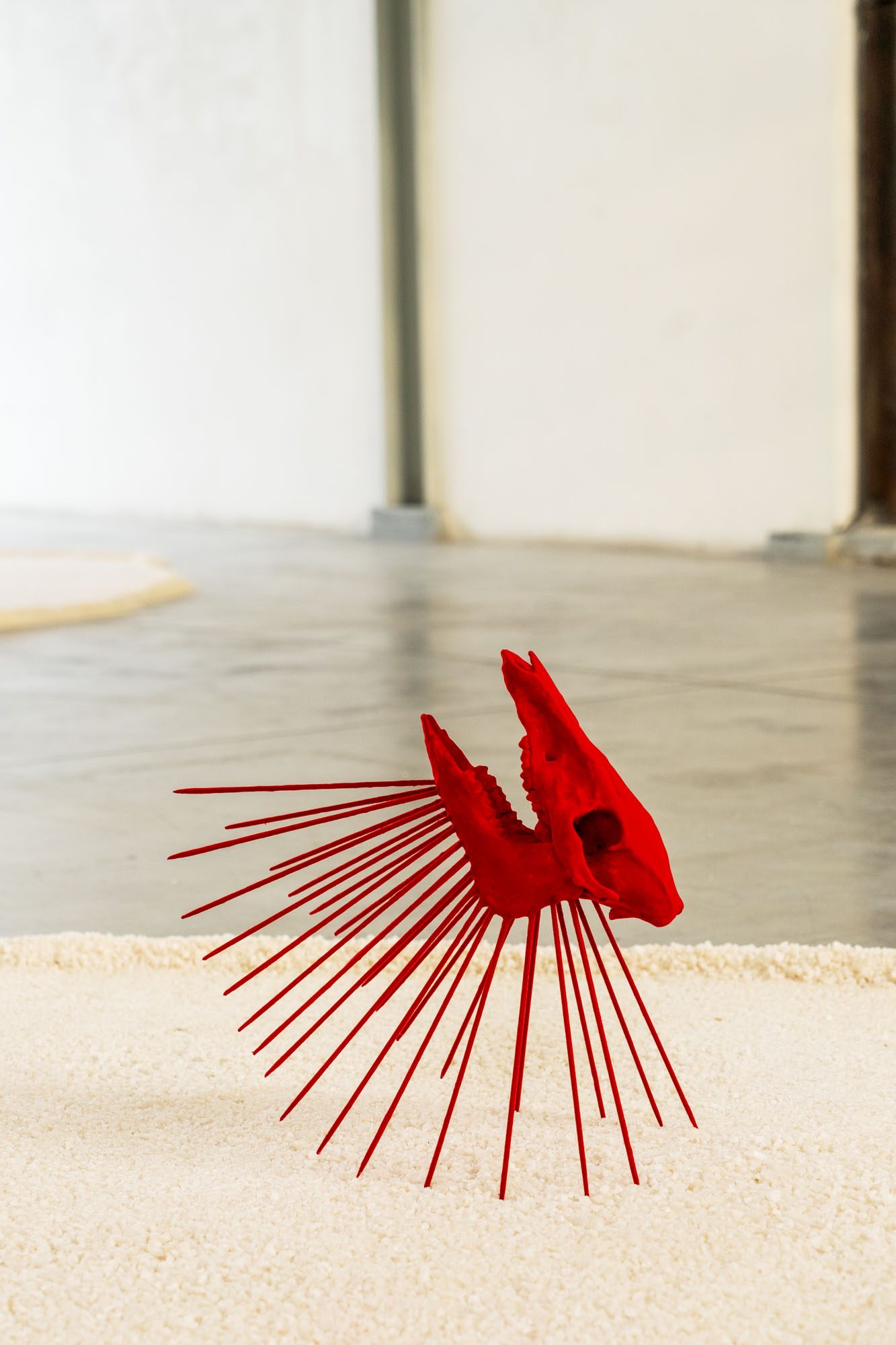 Precipitazioni sotto il livello del mare, installation view, nickel-plated brass, resin-coated wood and fabric powder, flocked boar skeletons and steel, salt, Careof, Milan, 2022 — ph. Diego Mayon