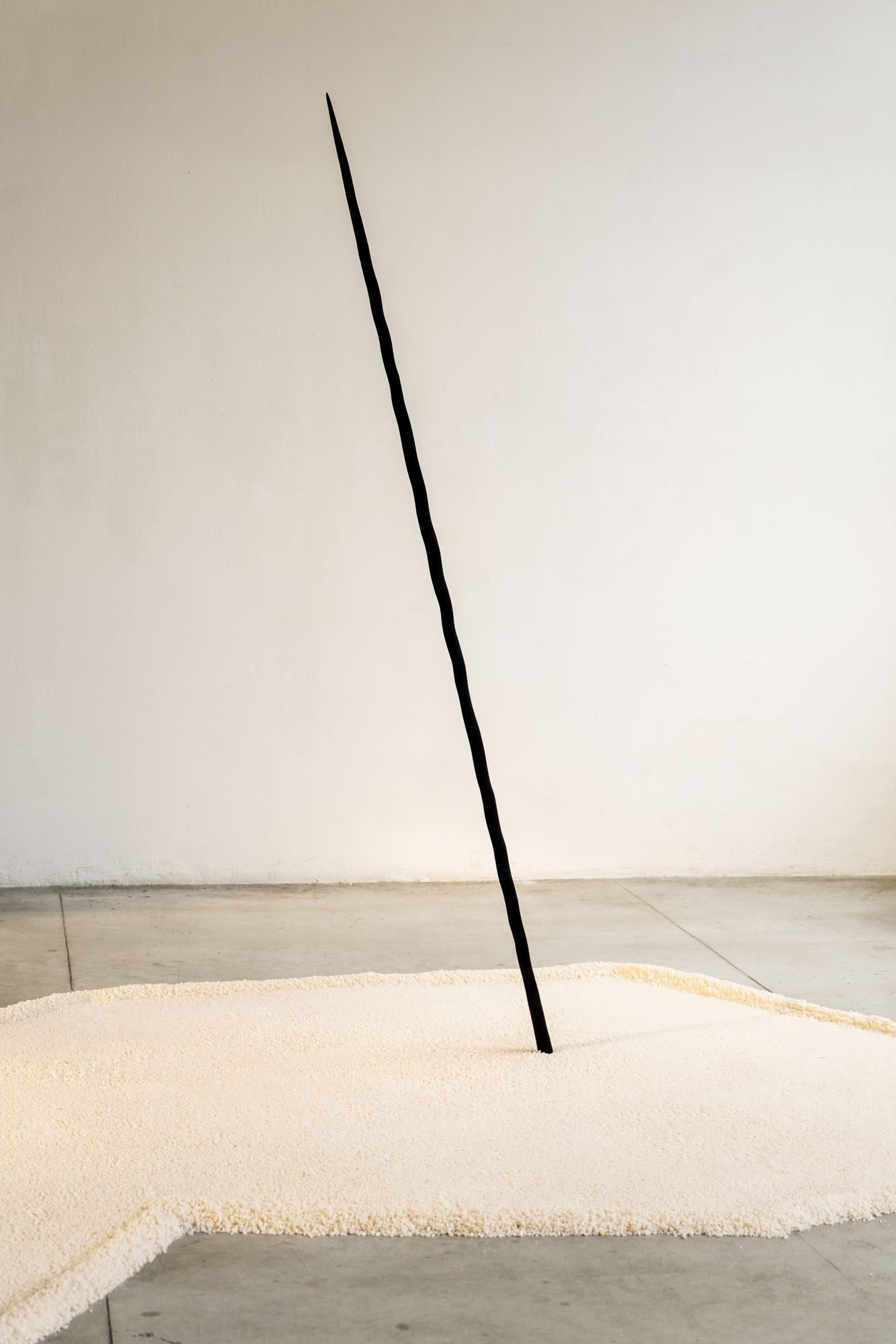 Precipitazioni sotto il livello del mare, installation view, nickel-plated brass, resin-coated wood and fabric powder, flocked boar skeletons and steel, salt, Careof, Milan, 2022 — ph. Diego Mayon