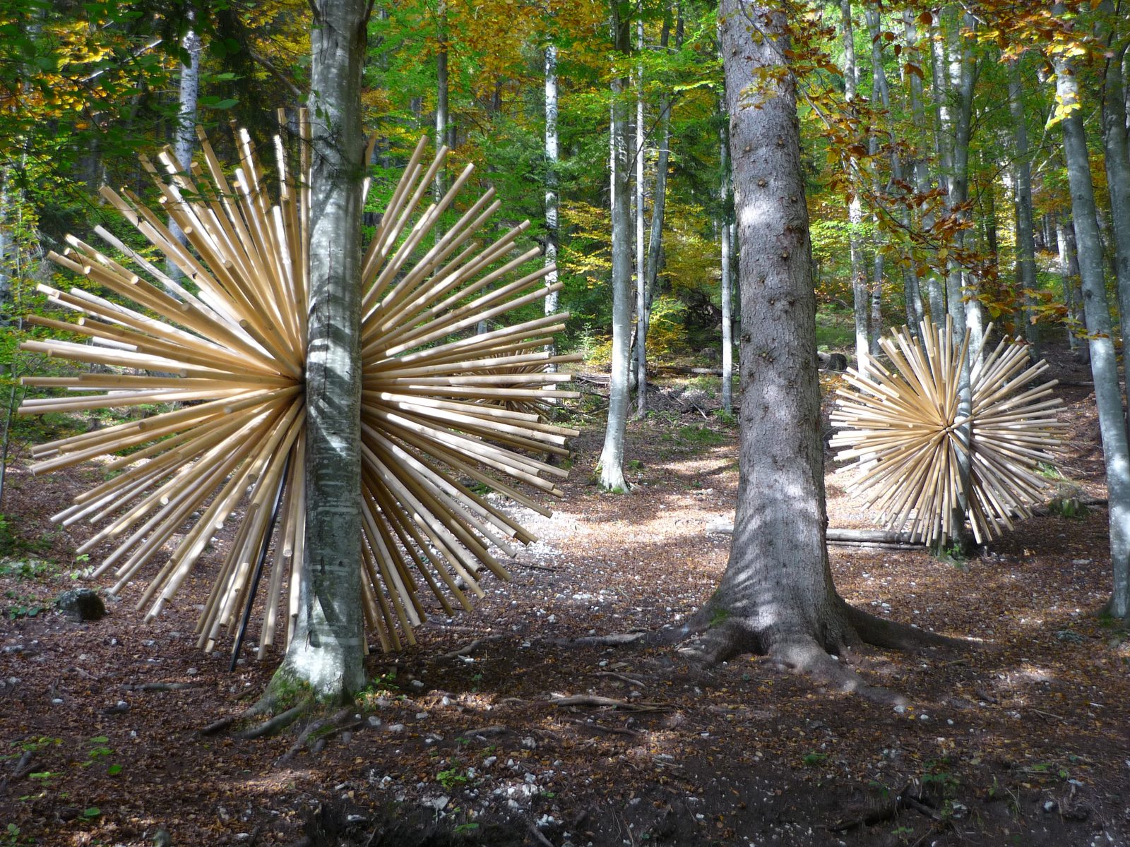 Transizioni, installation view, heterogeneous materials, environmental measures, 2013, Arte Sella, Borgo Valsugana — ph. Giacomo Bianchi