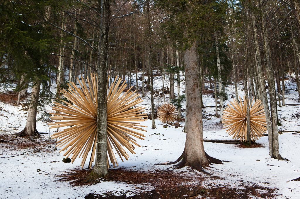 Transizioni, installation view, heterogeneous materials, environmental measures, 2013, Arte Sella, Borgo Valsugana — ph. Giacomo Bianchi