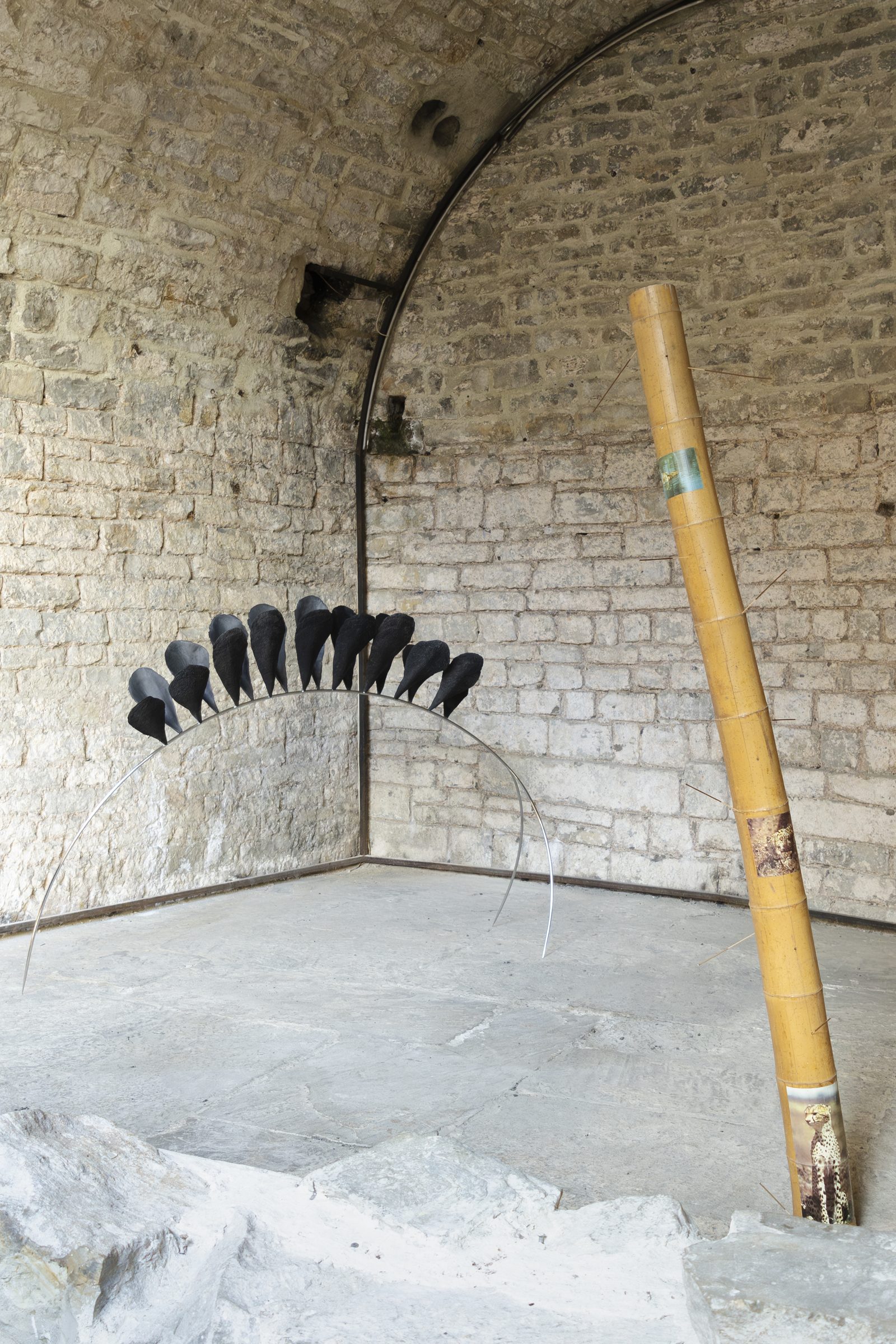 When Species Don’t Meet, installation view, Spazio Volta, ex chiesa di San Rocco, Bergamo, 2026 — ph. Zoe Speziale