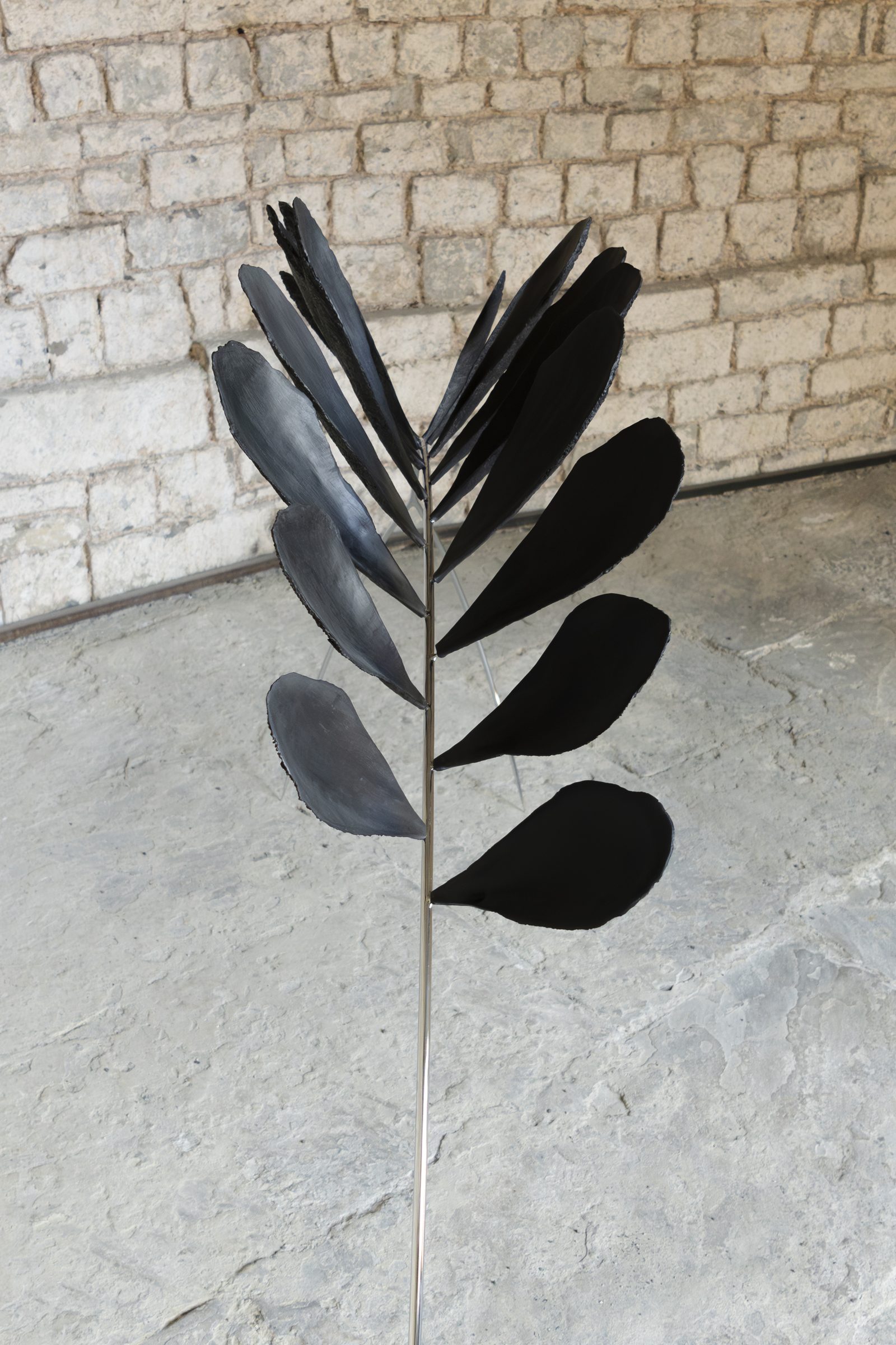 When Species Don’t Meet, installation view, Spazio Volta, ex chiesa di San Rocco, Bergamo, 2026 — ph. Zoe Speziale