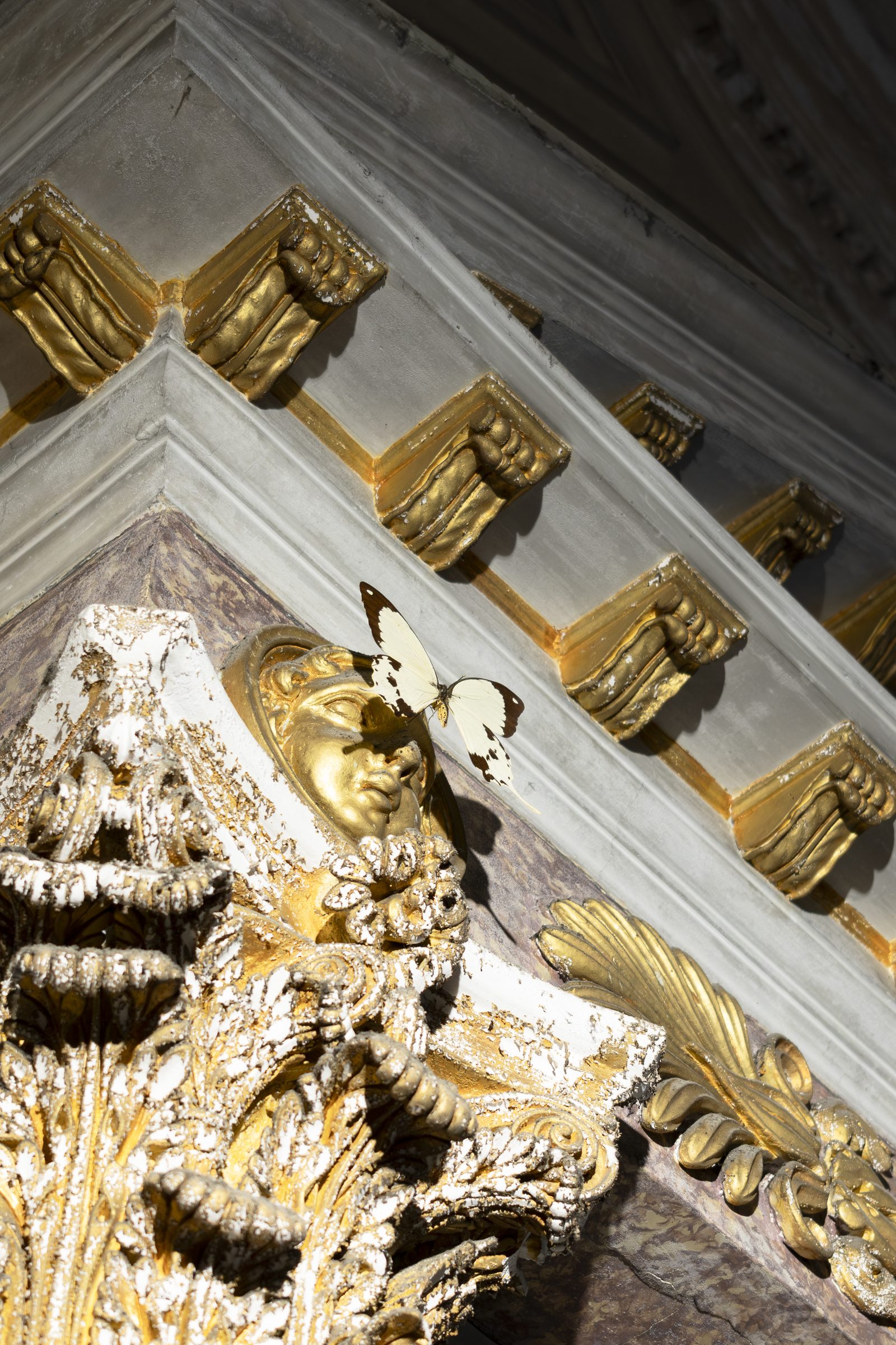 When Species Don’t Meet, detail, Spazio Volta, ex chiesa di San Rocco, Bergamo, 2026 — ph. Zoe Speziale