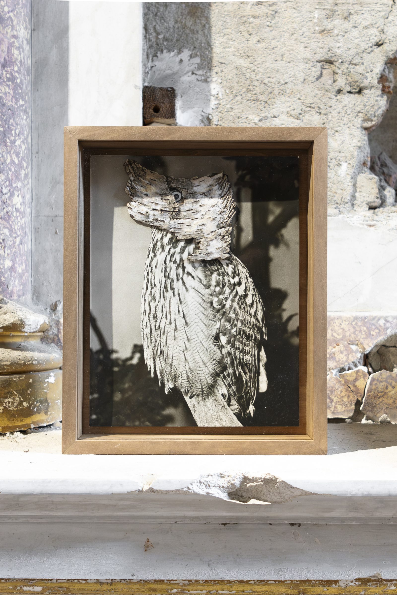 When Species Don’t Meet, detail, Spazio Volta, ex chiesa di San Rocco, Bergamo, 2026 — ph. Zoe Speziale